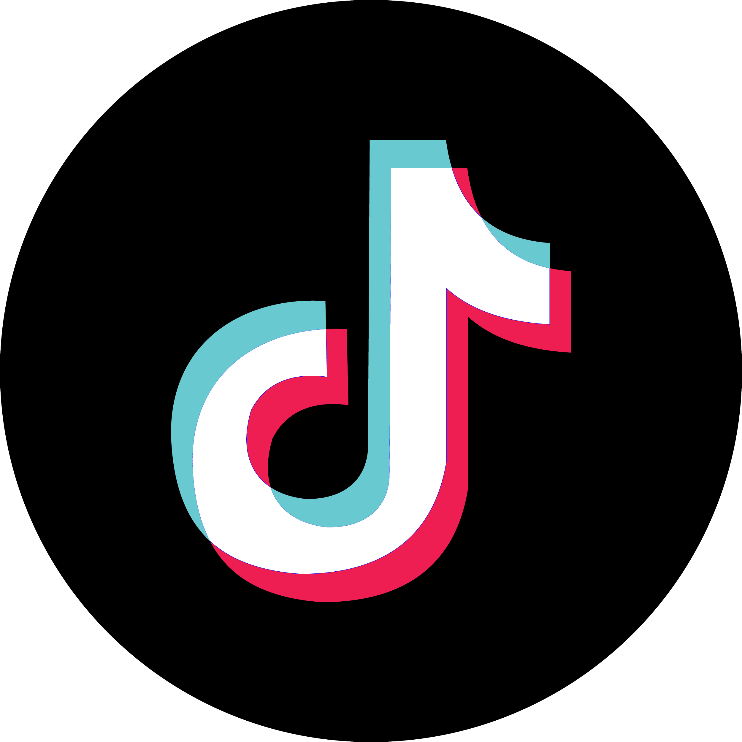 67d03329797e11741697833.png